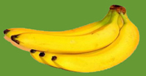 Bunch of ripe bananas